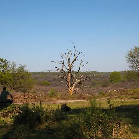 ベッド・アンド・ブレックファスト Freydag