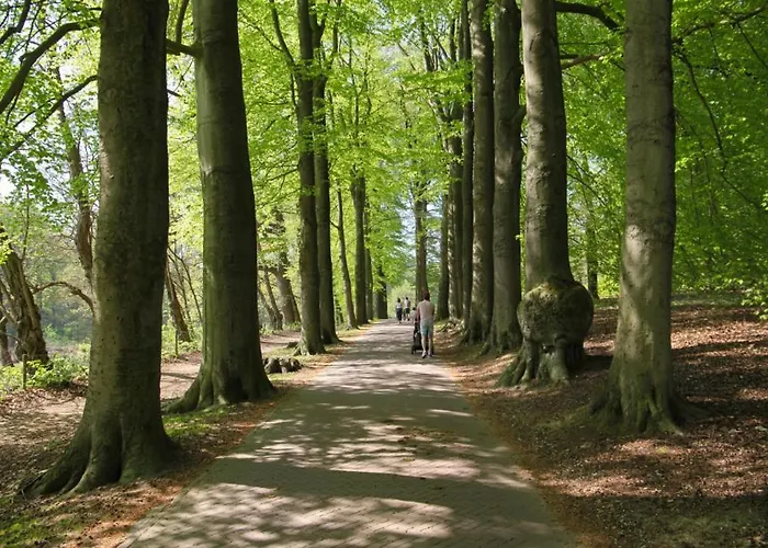 לינה וארוחת בוקר Freydag *