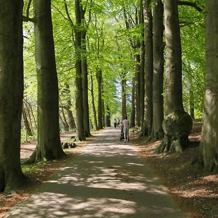 Frühstückspension Freydag *