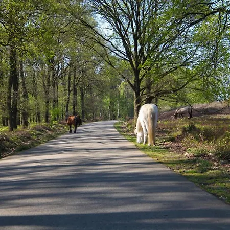 Freydag Frühstückspension *