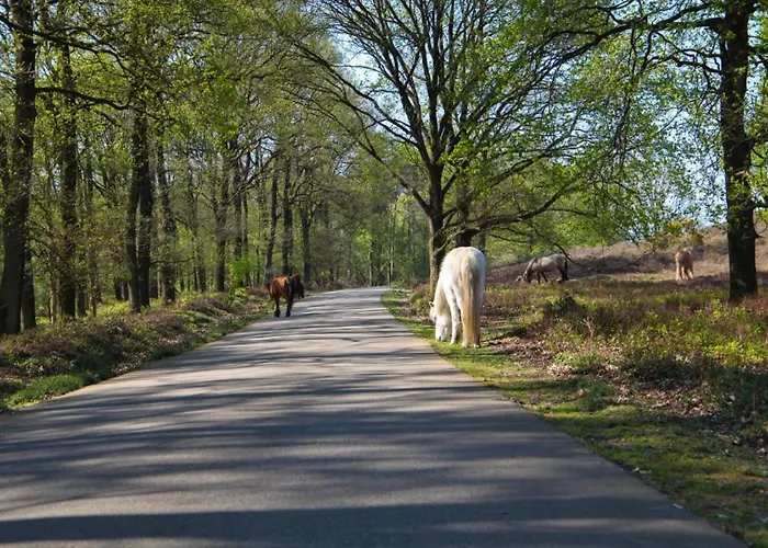 Freydag Frühstückspension *