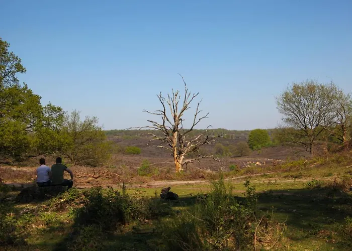 Frühstückspension Freydag