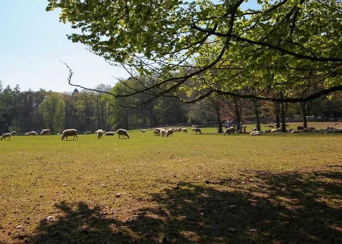 Frühstückspension Freydag Rheden